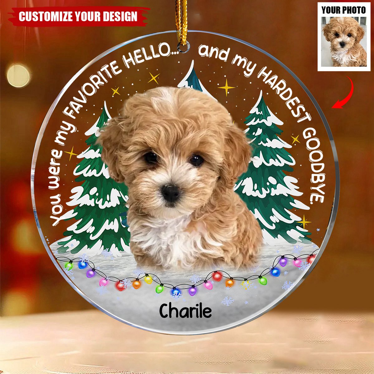 My Favorite Hello & Hardest Goodbye Pet Loss - Personalized Acrylic Photo Ornament